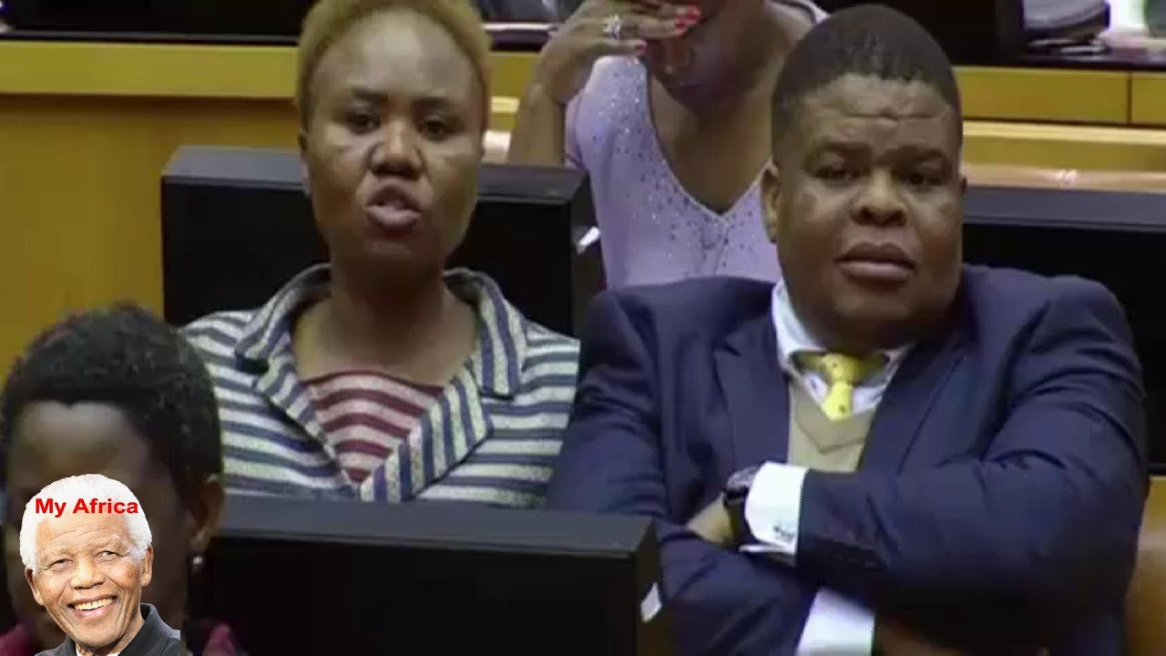 EFF Godrich Gardee Talking Nonsense - ANC MP Lindiwe Zulu