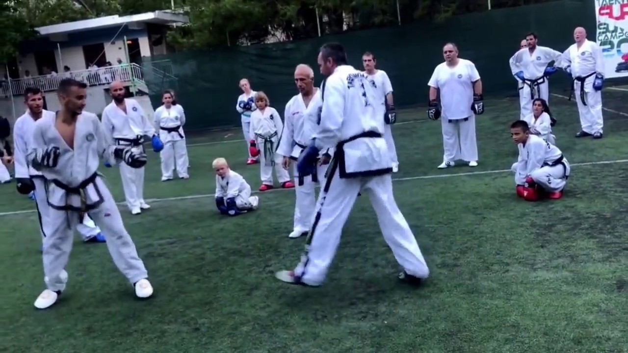 Master Alexandris- ITF Taekwon-Do Sparring Drills (Olympos 2017)