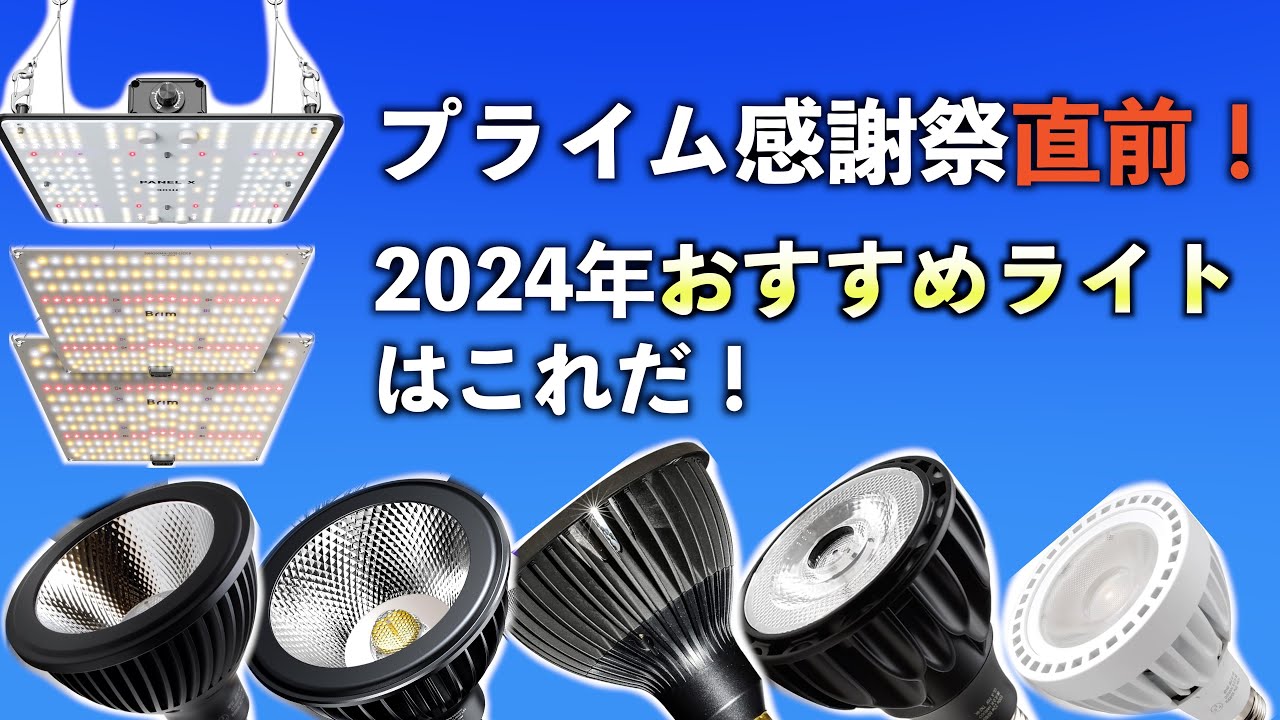 プライム感謝際間近！2024年おすすめライトはこれだ！   4K