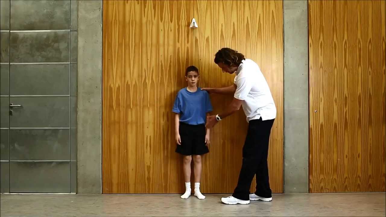 NETFIT® Testtömeg index / Body mass index