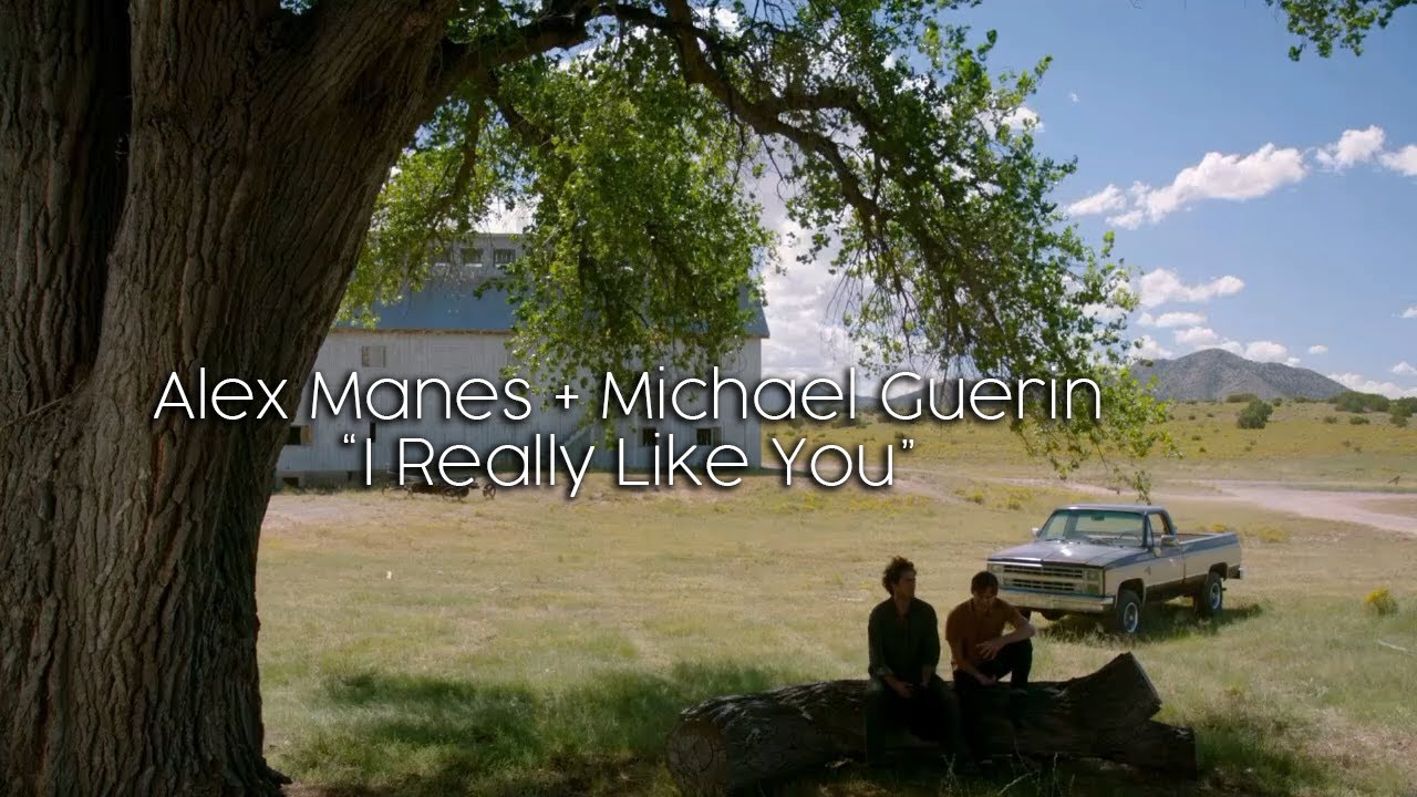 malex || i really like you