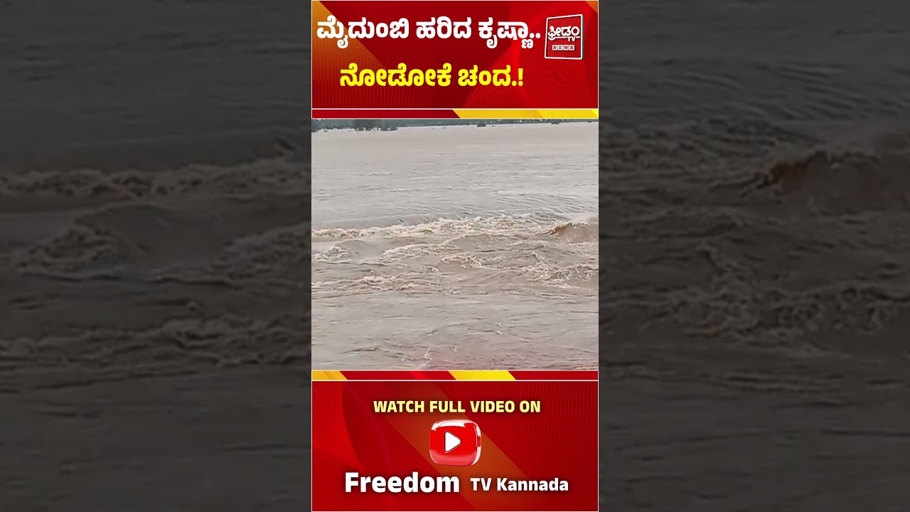 River: ಮೈದುಂಬಿ ಹರಿದ ಕೃಷ್ಣಾ.. ನೋಡೋಕೆ ಚಂದ.! | FreedomTV Kannada
