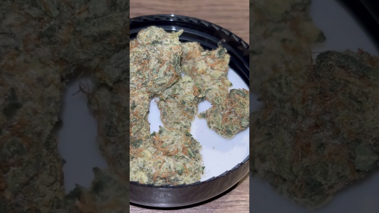 420 Evolution 27/1 CA ICC Ice Cream Cake x Kush Mints #medical #strainreview