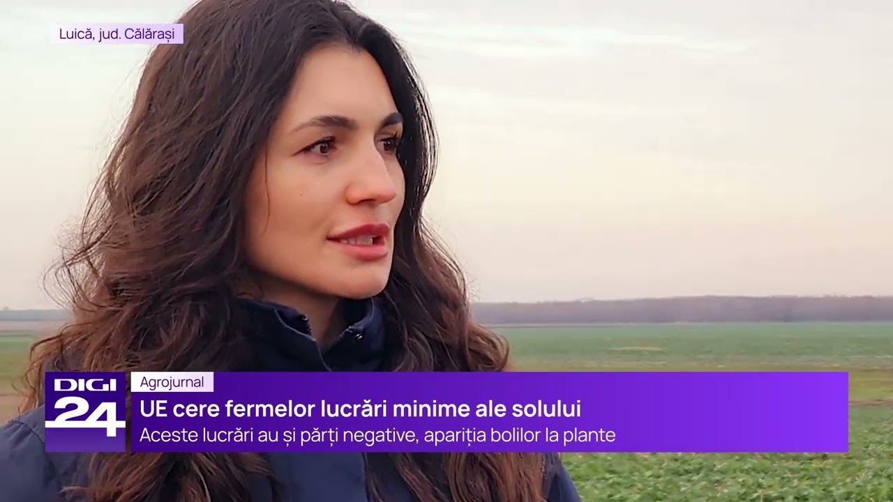Rapita semanata la 70 cm | Tratament rapid pentru cloroza de mangan si planul pentru primavara