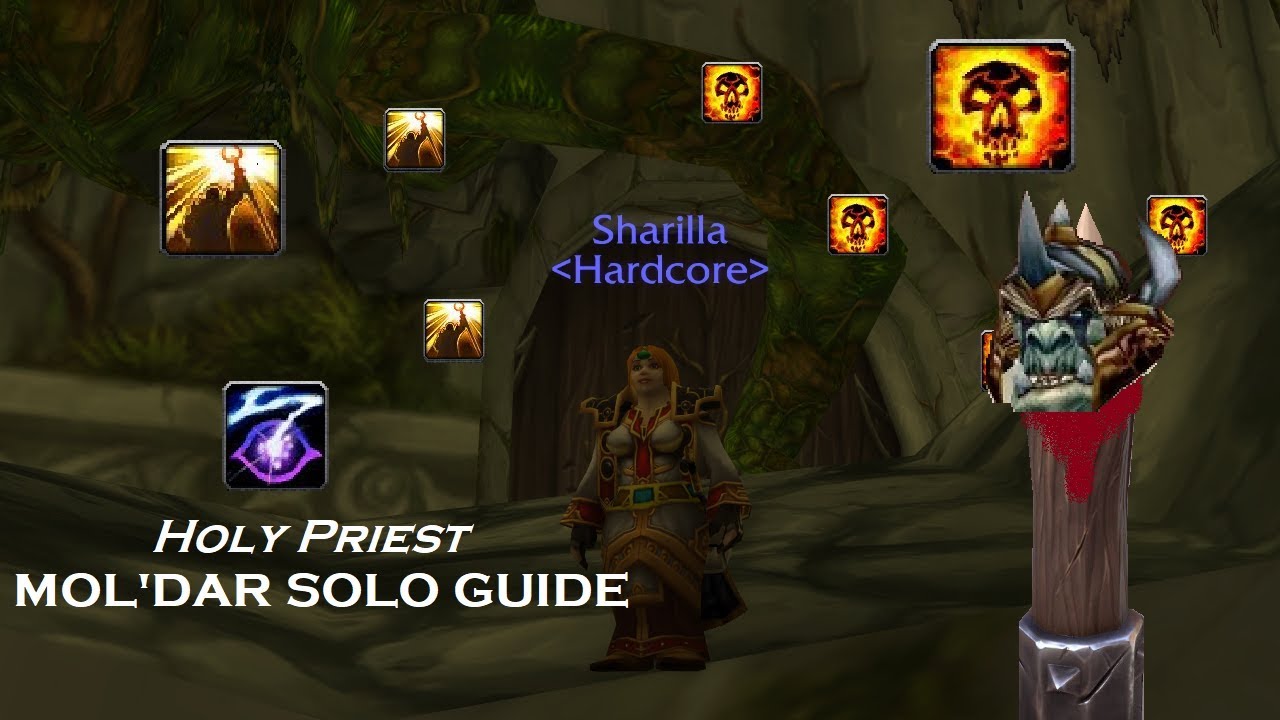 How to solo Guard Mol'dar in DM North as Holy Priest
