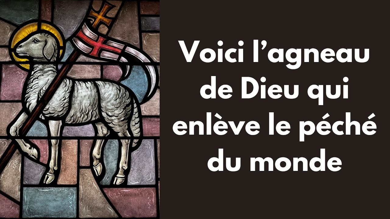 Voici l'agneau de Dieu qui enlève le péché du monde