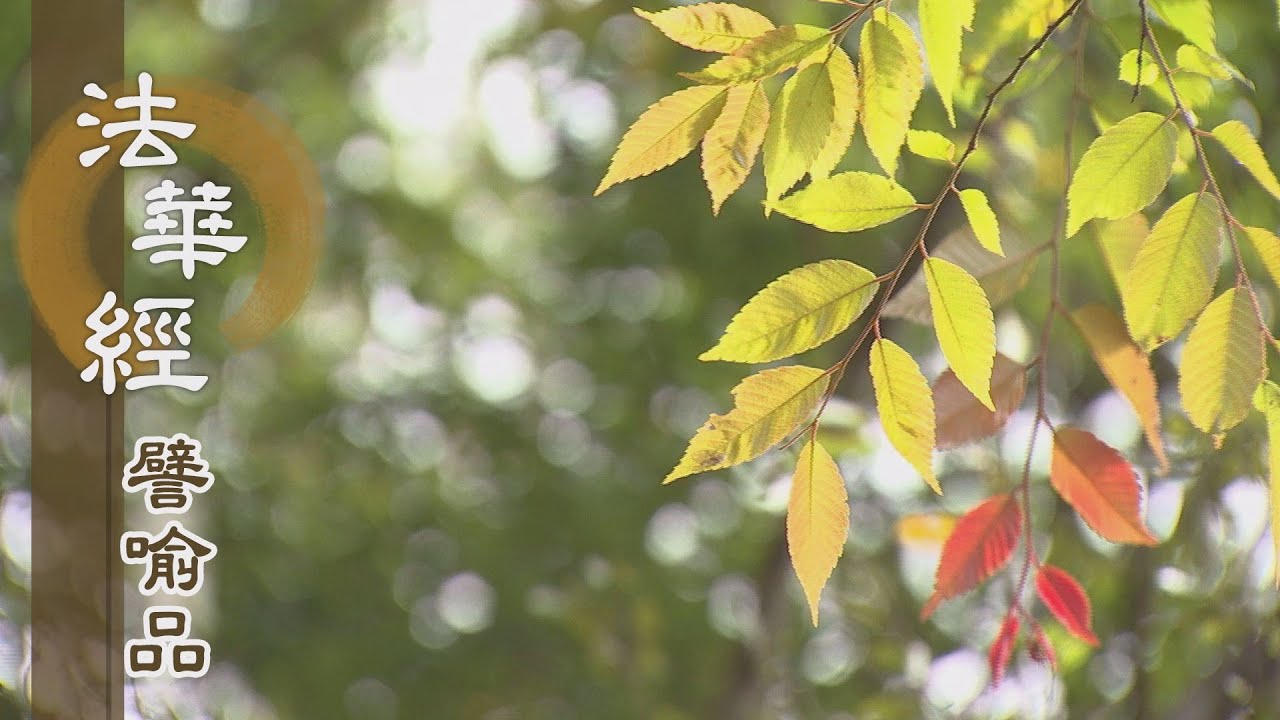 【靜思妙蓮華】法華經譬喻品 - 和敬供養盡形壽 - 20201015 第509集