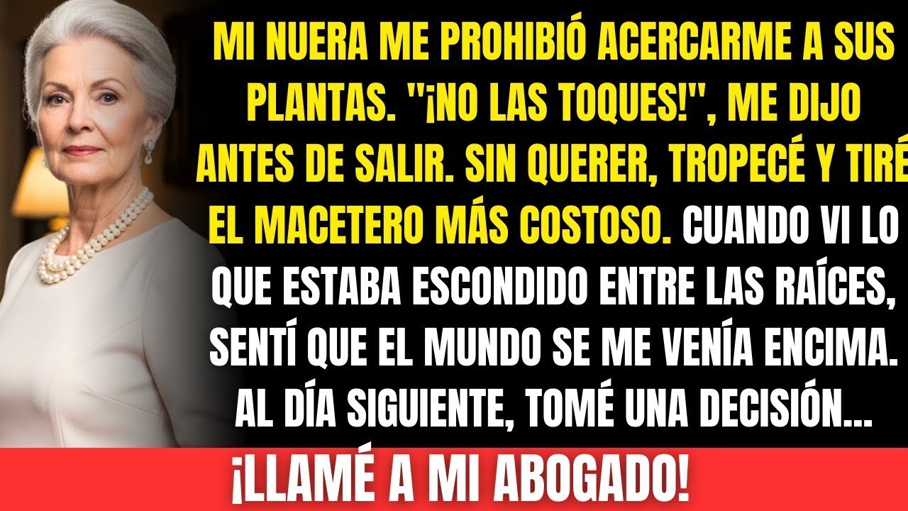 Mi nuera dijo  “¡No toques mis orquídeas!”… y cuando la maceta se rompió, descubrí su secreto