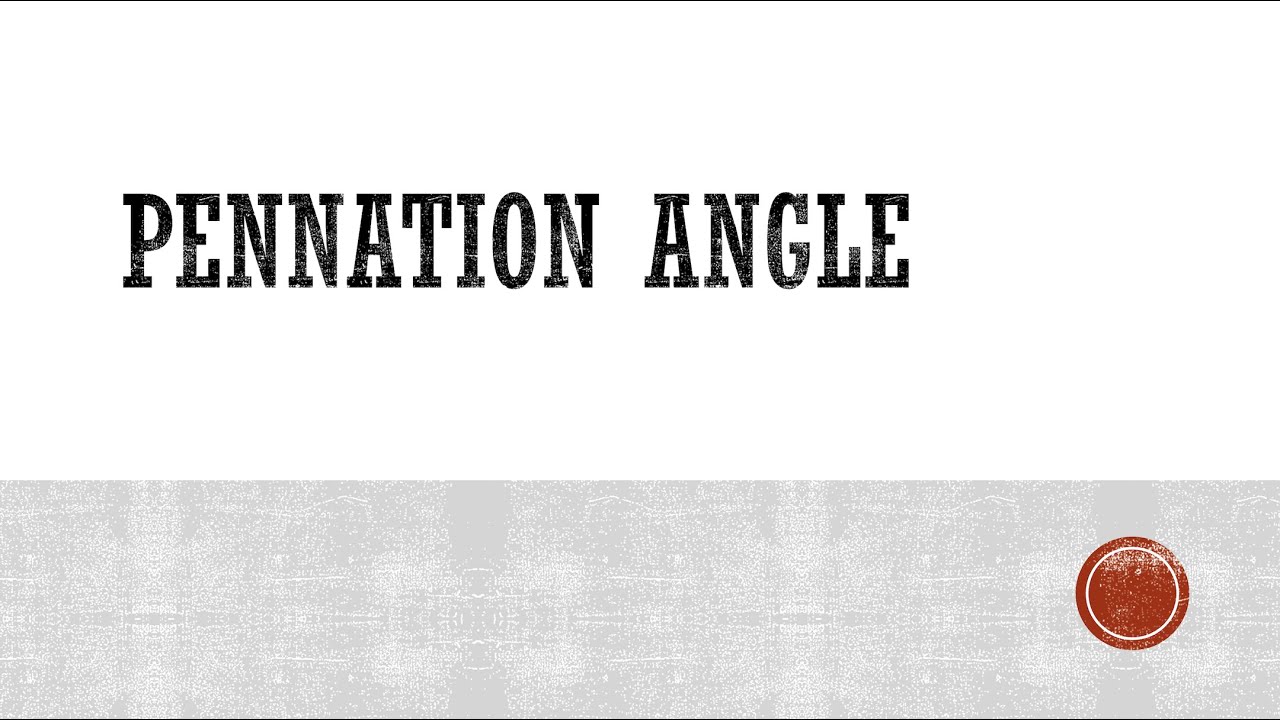 Pennation Angle