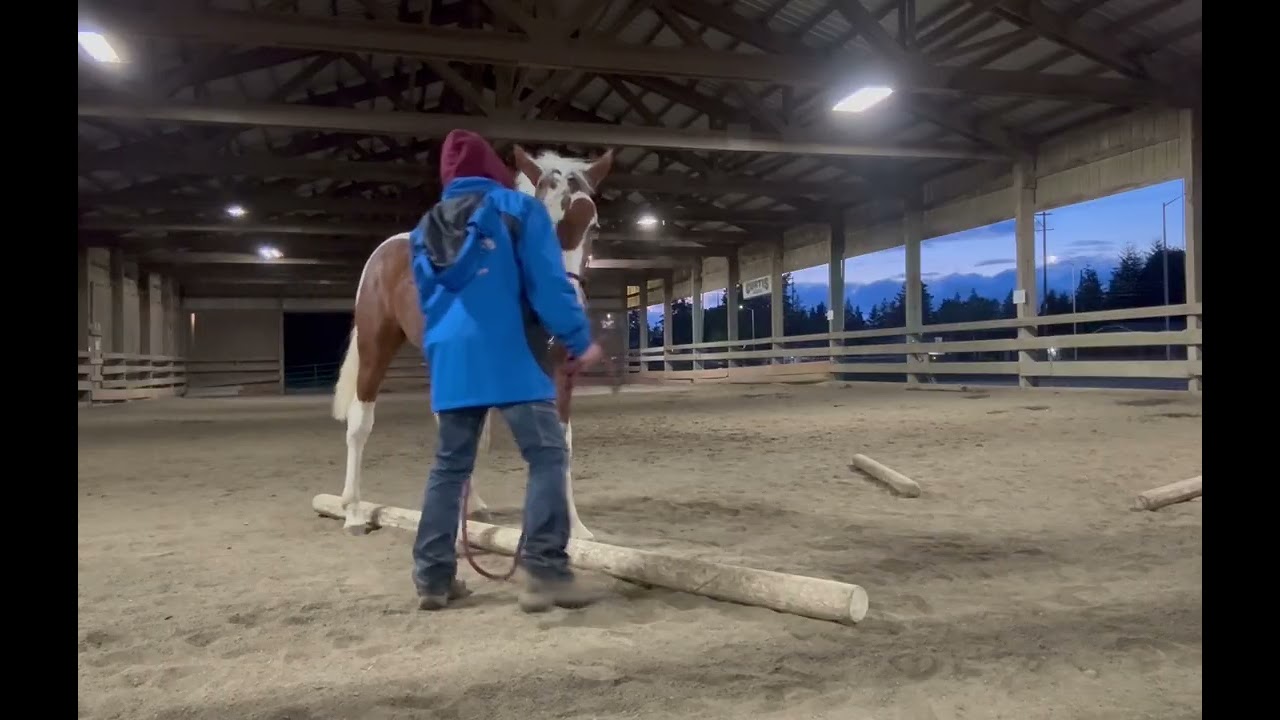 Teaching Amara how to straddle the pole - May 19, 2025