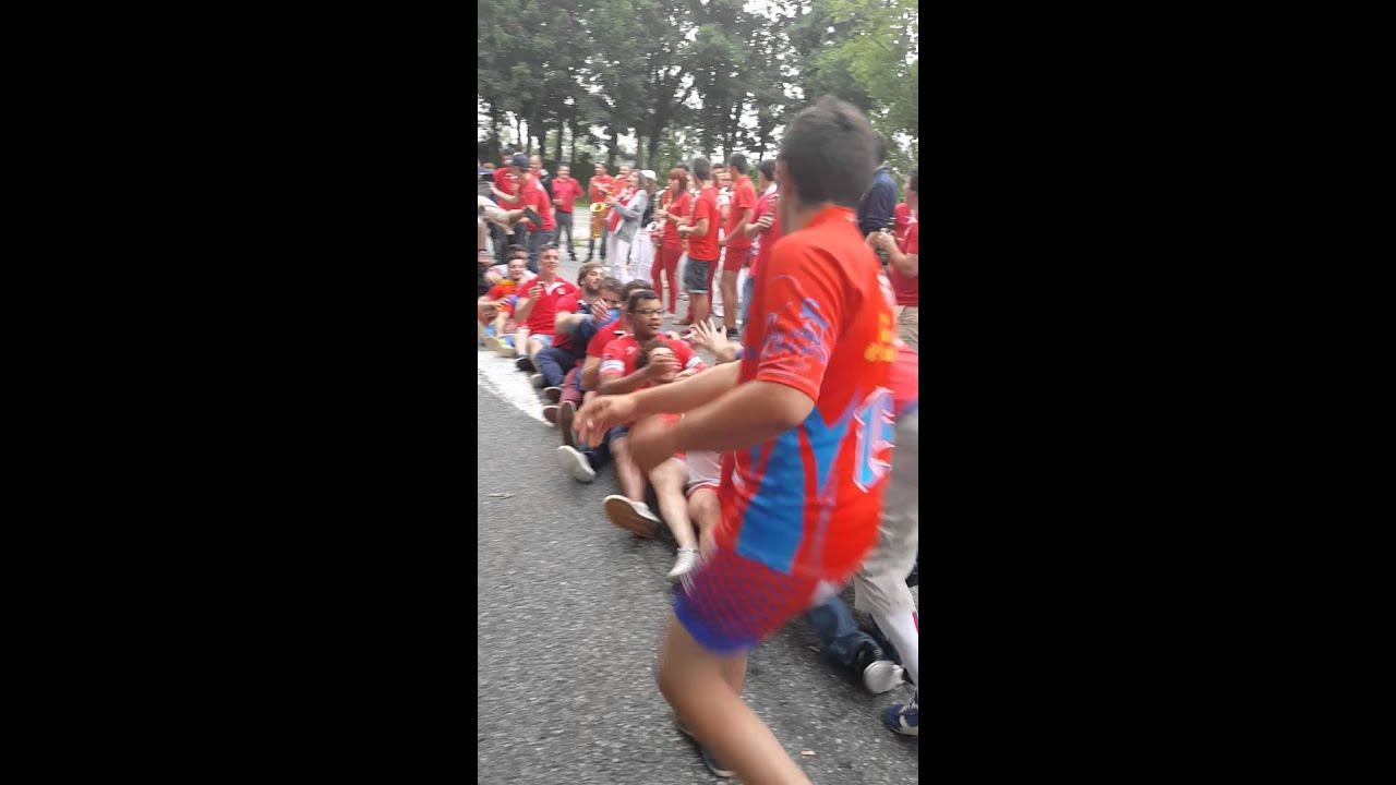 Rugby phases finales