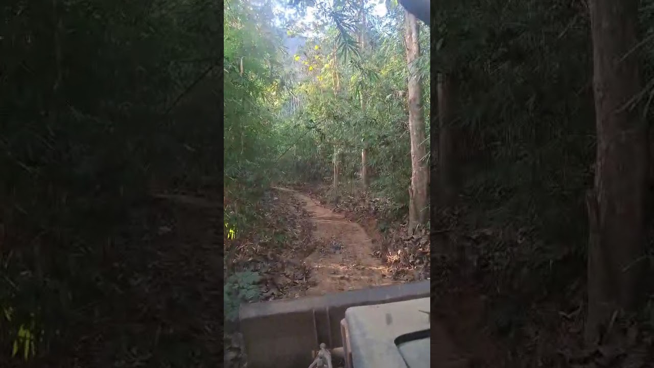 Ani Ruati te huan kawng laih 