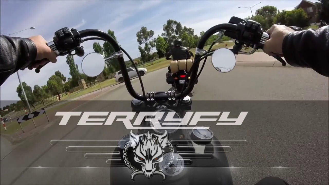 Born To Be Wild cover by TERRYFY