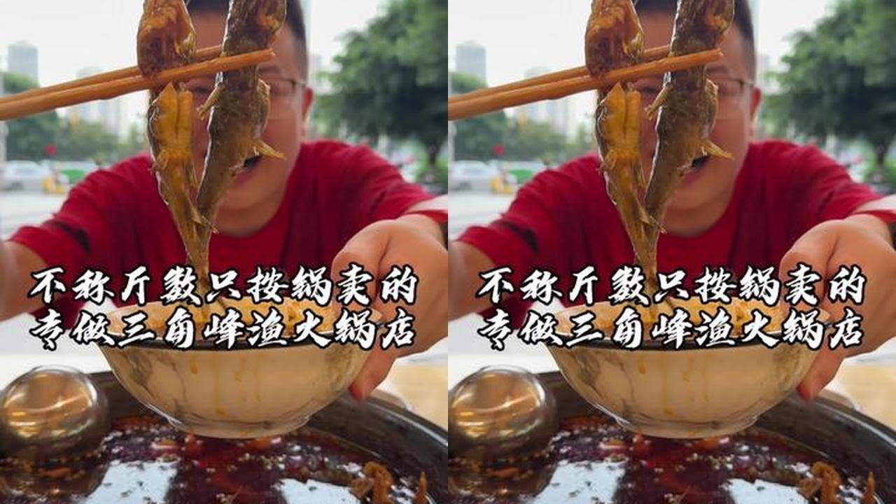 现在做鱼的有很多，但是只做三角峰这一种品类的，让我非常好奇，那么今天一定要好好品尝品尝！#吴慢慢 #三角峰 #火锅鱼 #温江