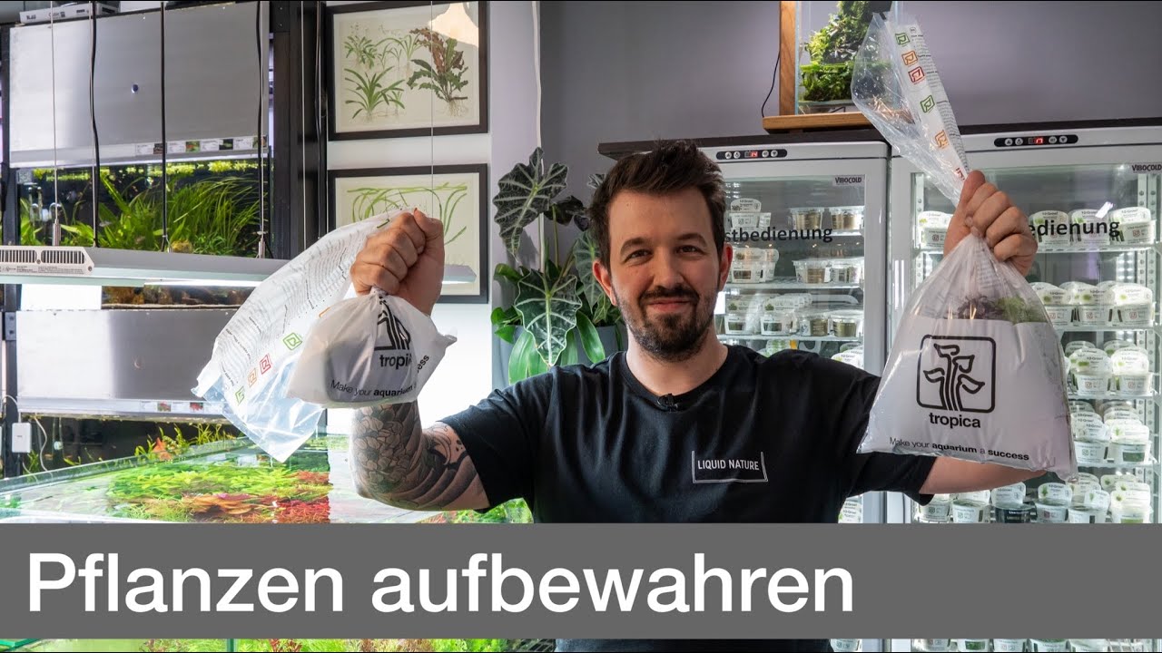 Aquarienpflanzen richtig aufbewahren! | Liquid Nature