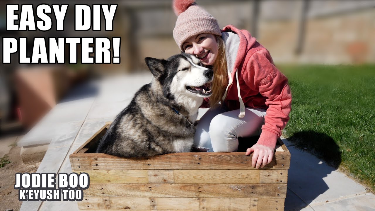 Husky Talks To Delivery Drivers And I Make A Planter!