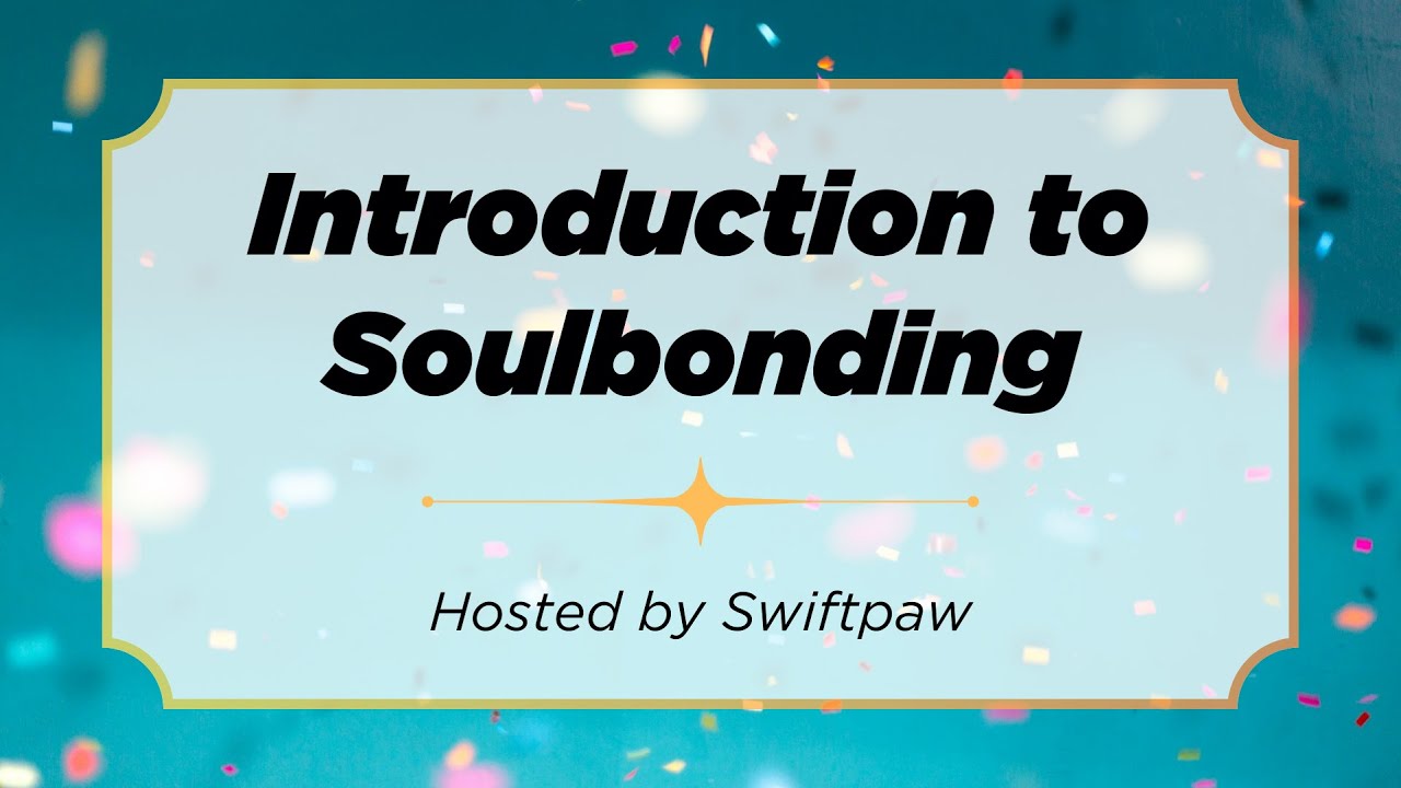 Introduction to Soulbonding