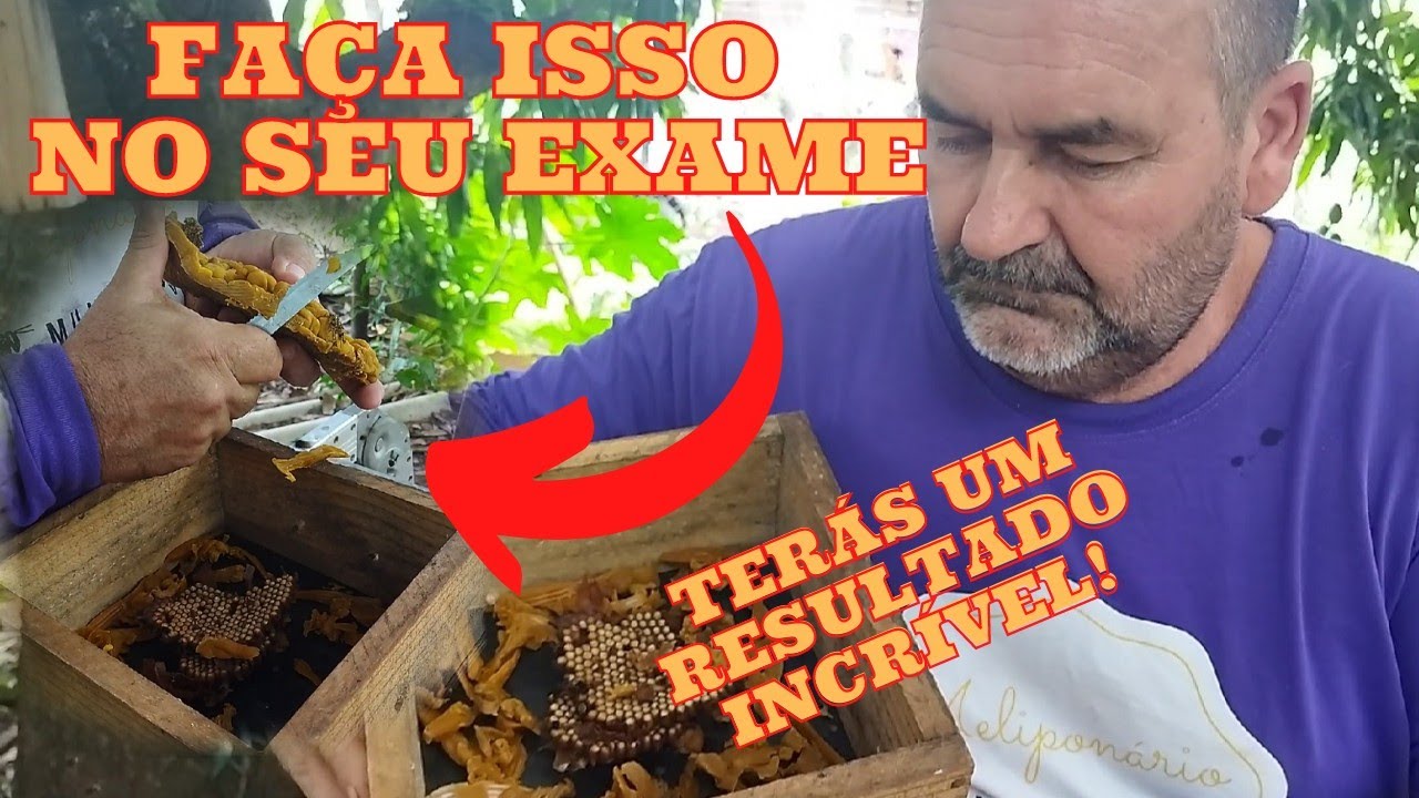 DICAS IMPORTANTES PARA UMA DIVISÃO DE SUCESSO - DIVISÃO DE MANDAÇAIA MQQ 1 POR 1.