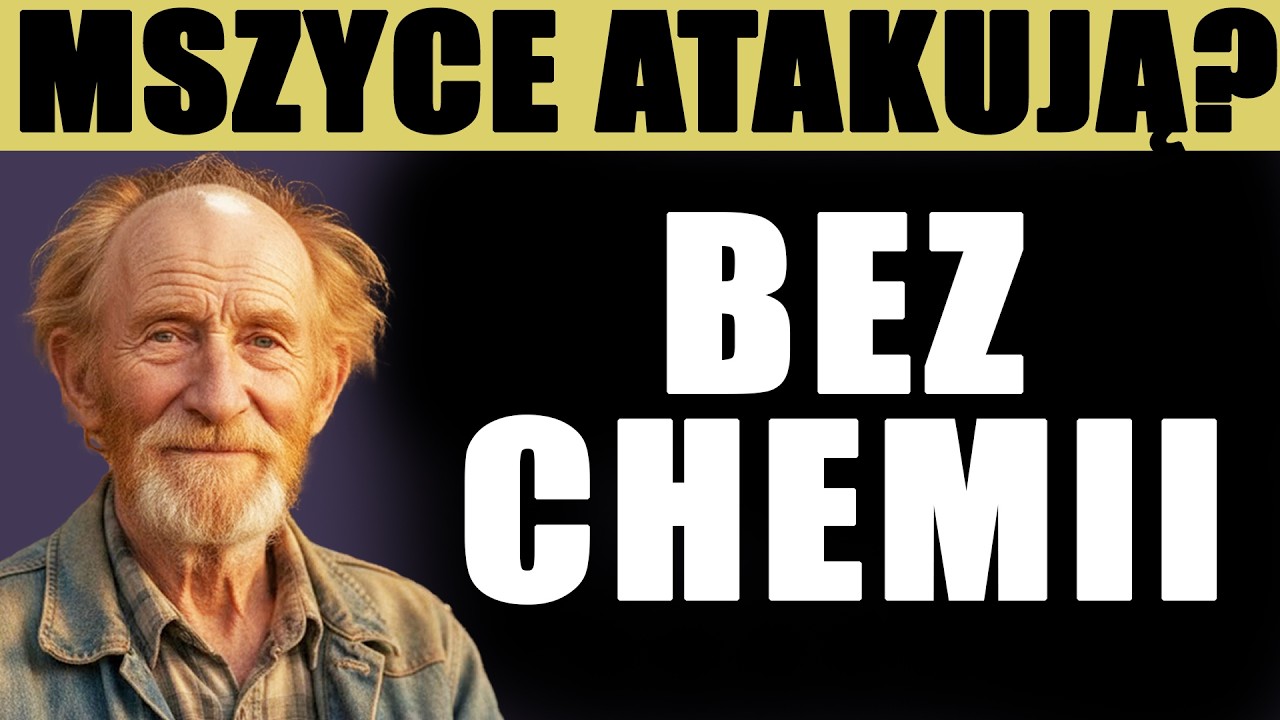 &bdquo;Wyrzuć toksyczną chemię! Szare mydło i czosnek wybiją robale co do jednego!