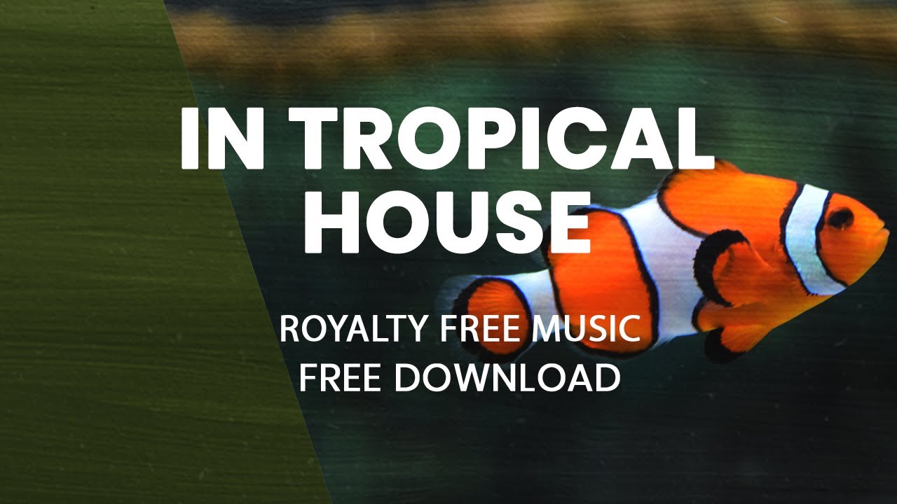 In Tropical House | FREE MUSIC BACKGROUND REAL ESTATE