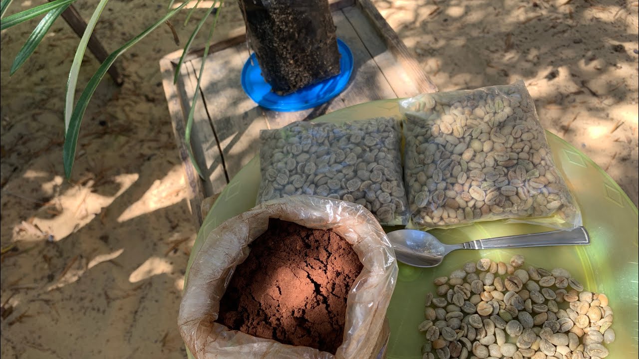 سماد القهوة طاقة وحيوية وتحفيز وسرعة نمو  للنباتات | coffee fertiliser soil