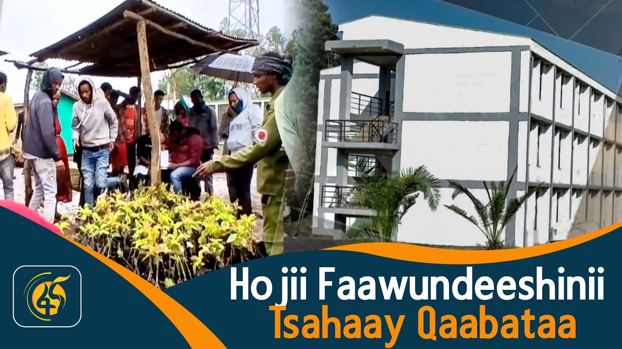 Hojii Faawundeeshinii Tsahaay Qaabataa