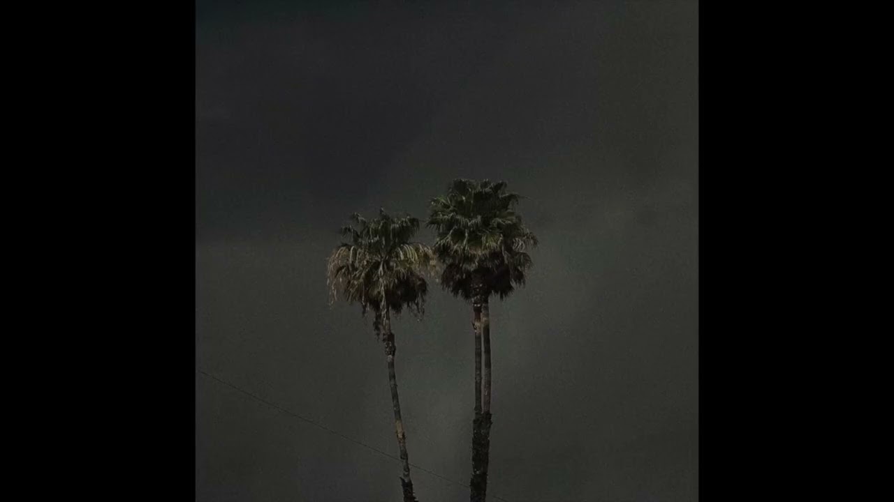 free Jazz Vintage Sample Pack | In The Rain