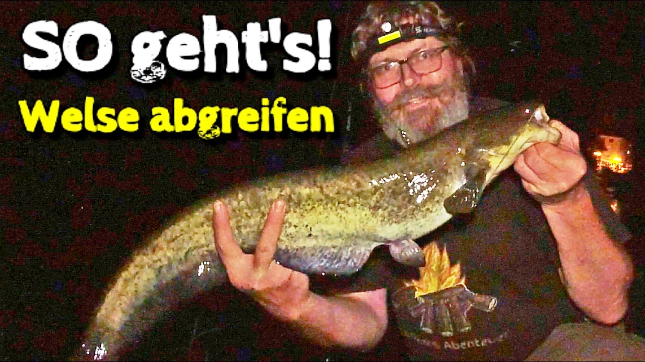 WELSANGELN am kleinen Fluss – Die besten Techniken im Einsatz! 🐟🔥