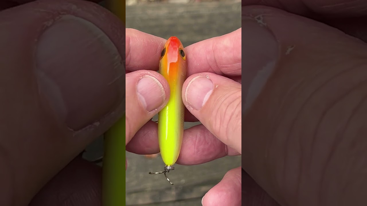 Tiny Topwater 2 18 2026 #jeffmcgovern #pestcoach #topwaterlure