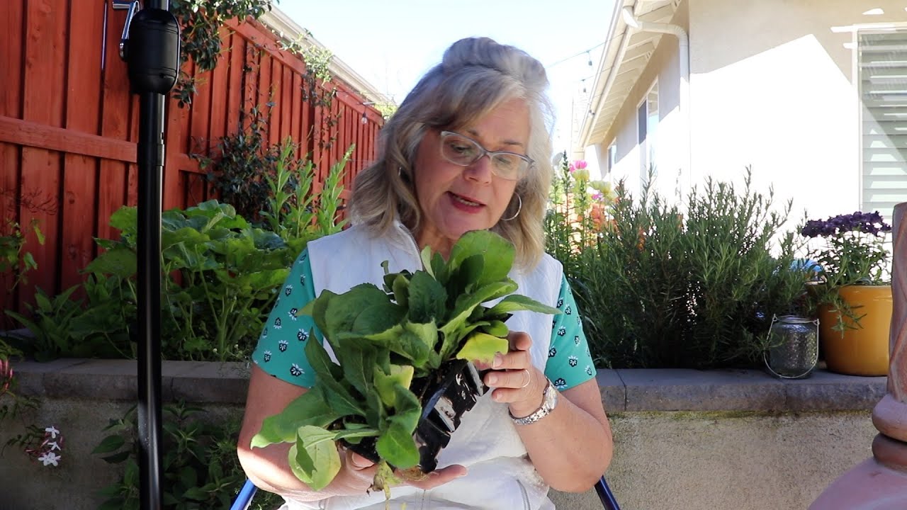 April Cottage Garden Tour | Perennial Border