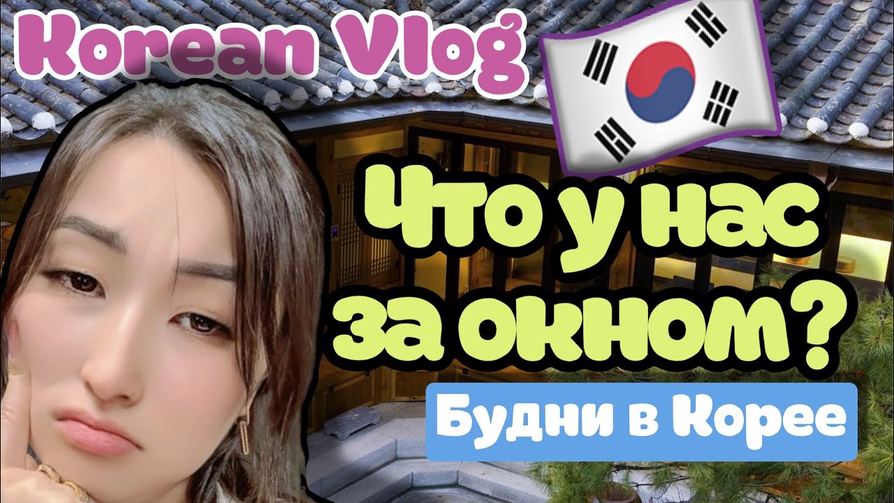 Korean Vlog: минусы жизни в частном доме🏠 что у нас за окном 🪟 шокирующе кадры 🤯