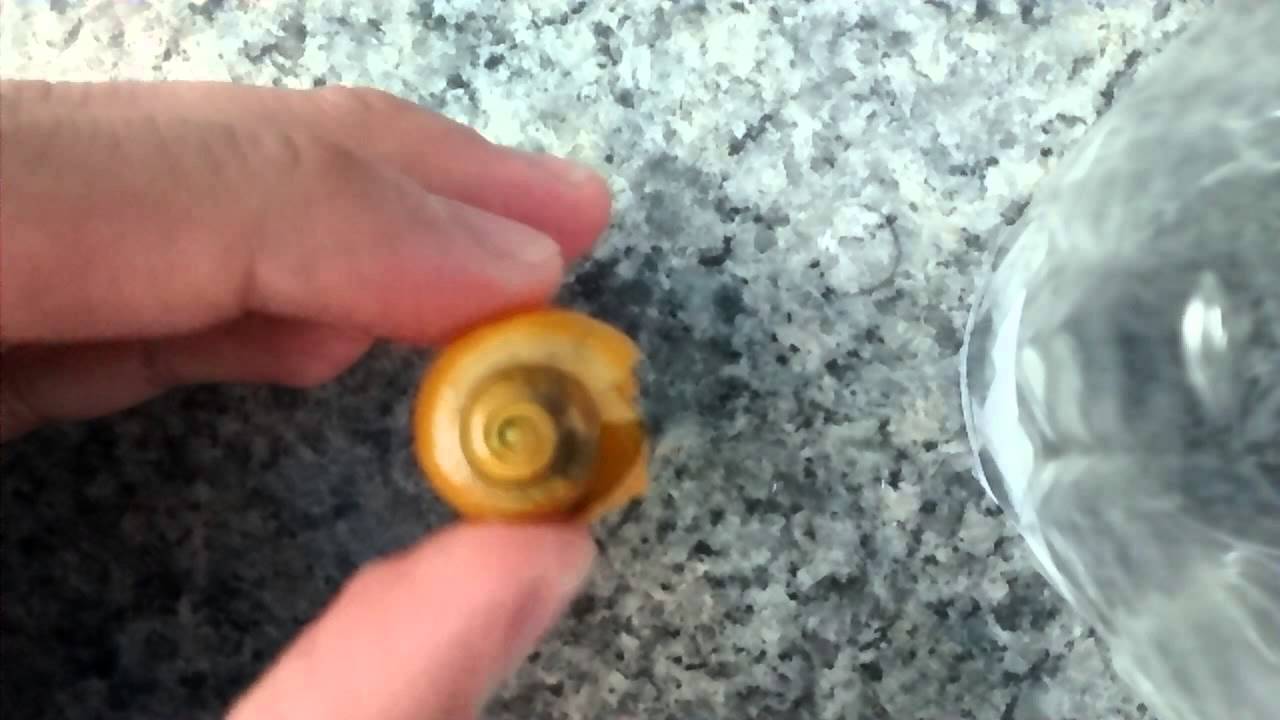 Diferenciar sexo en Caracoles Manzana
