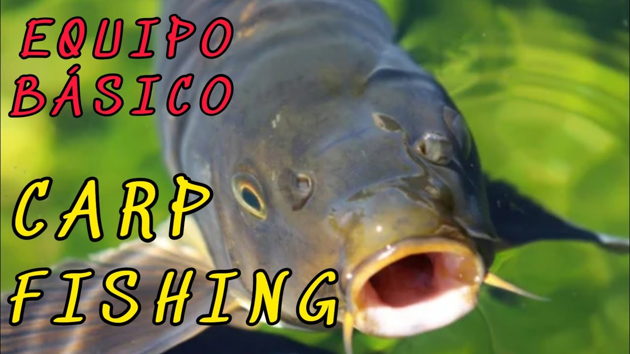 🎣EQUIPO BASICO DE CARPFISHING. CARRETE BAITRUNNER PARA PESCA de CARPAS, SENCILLO, PRÁCTICO Y EFICAZ