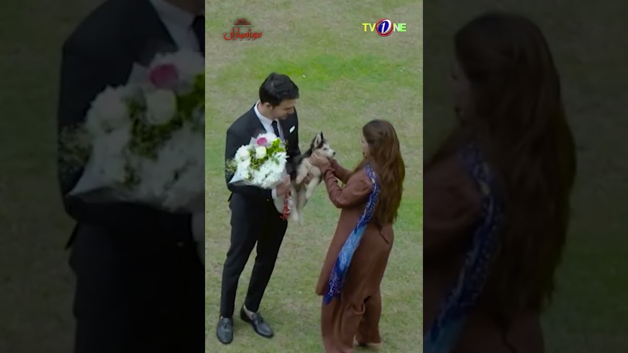 Mor Moharan Romantic Scene #mormoharan #shorts #sonyahussyn #mustafachangazi #tvone