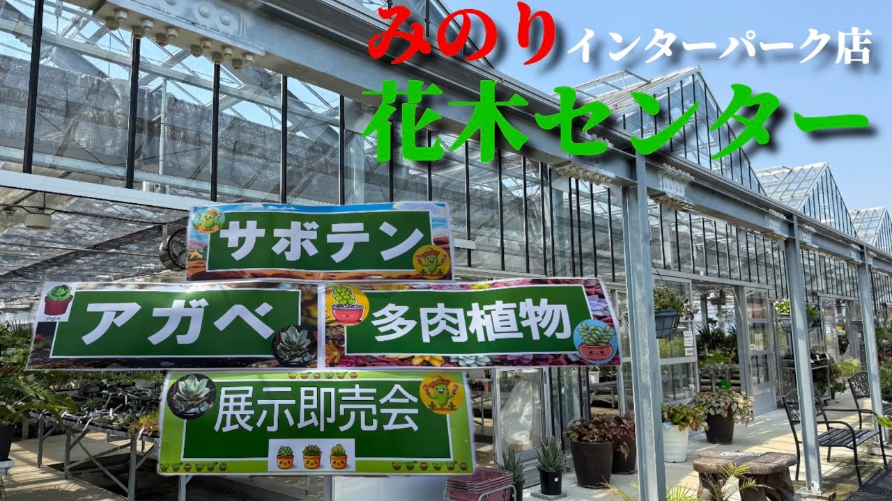 【園芸店】花木センターで開催されたアガベ多肉植物サボテンの即売会に行ってきた！