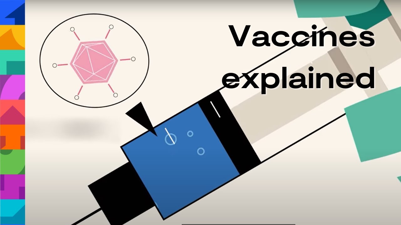 Vaccines: what happens inside your body?