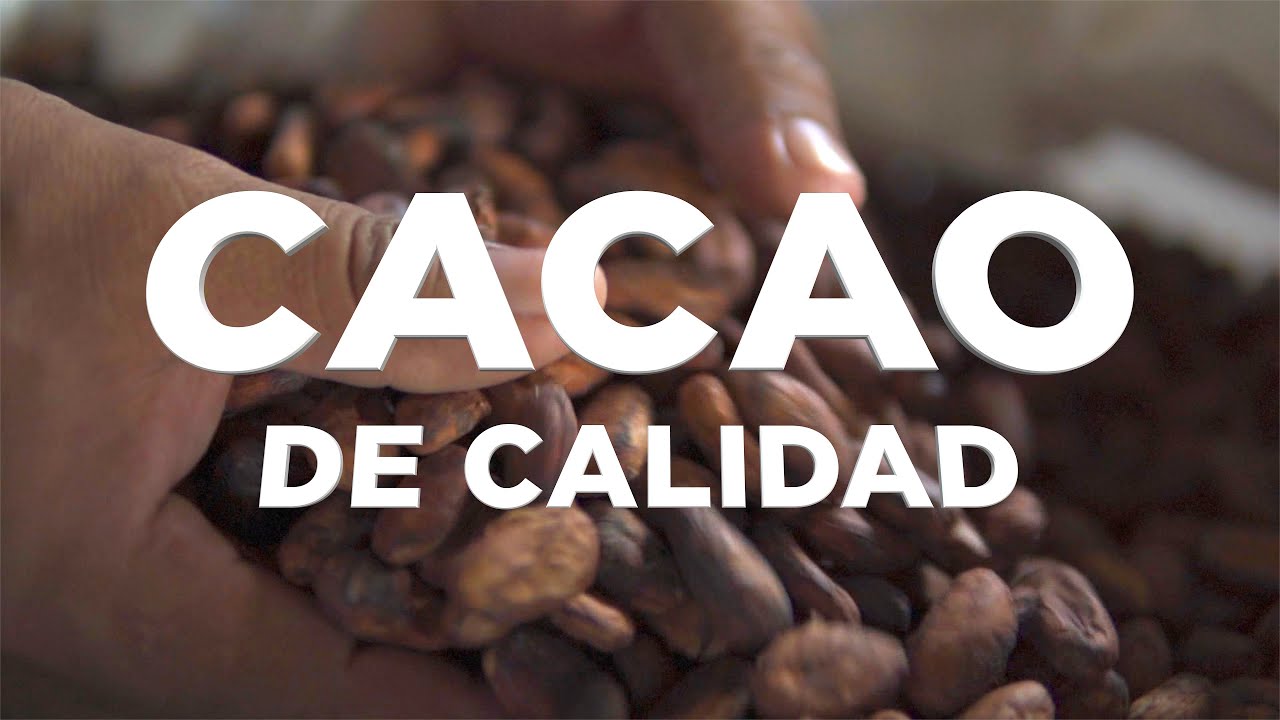 Calidad de Cacao