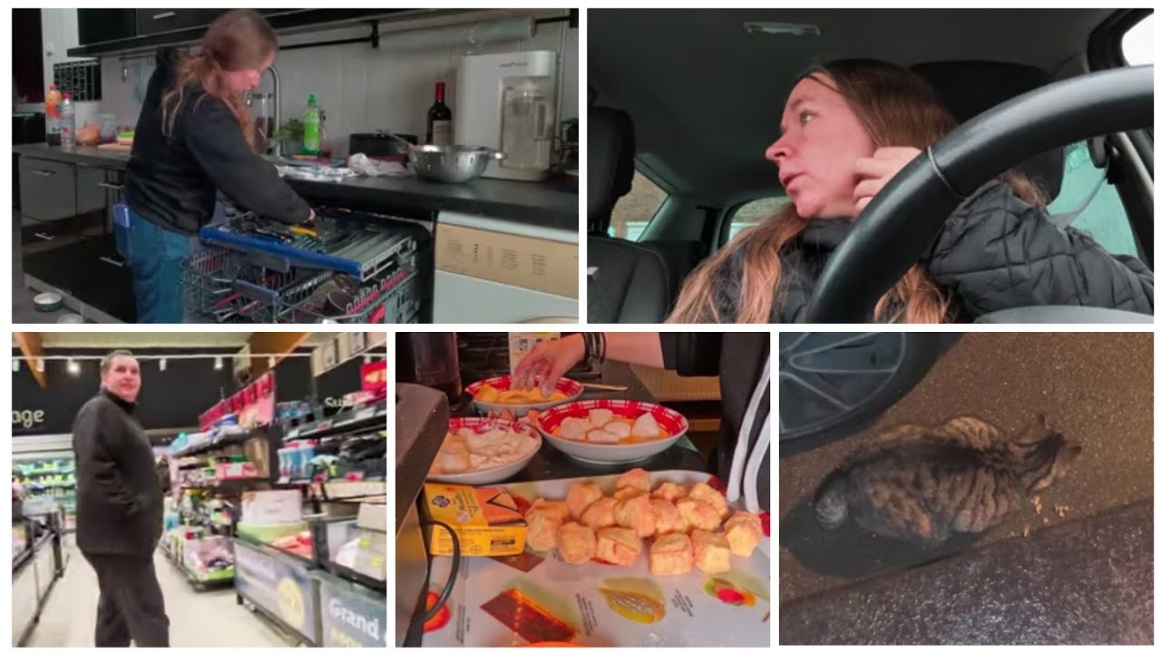 Pluie.pas dramatique.boules fromage..mardi 27 janvier VLOG 💜