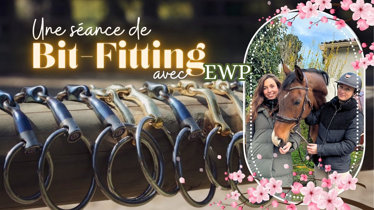 BIT-FITTING : ON CHANGE TOUT ! MORS, BRIDON, MUSEROLLE,…