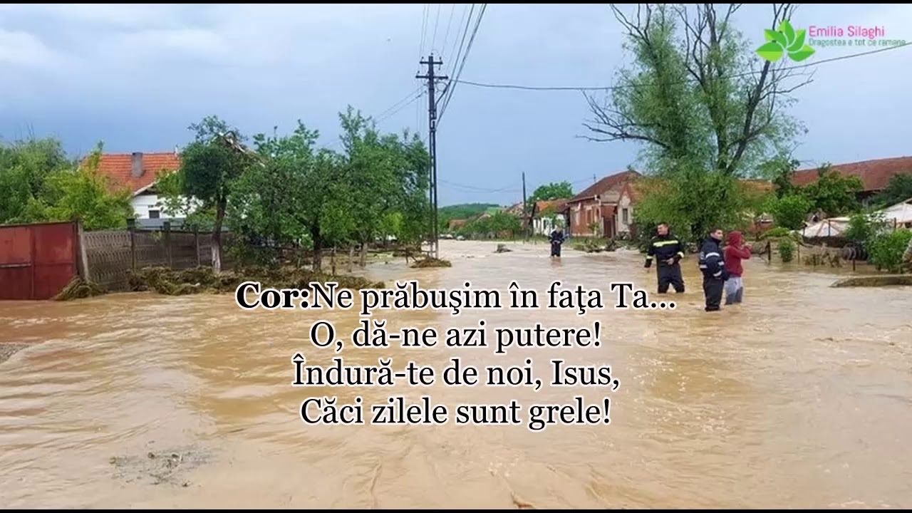 “Rugă pentru România” (Inundații) - Carmen Prodan