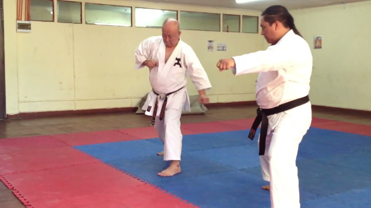 Kata Seisan y Bunkai Maestro Toshiro Sasaki Fujino en compañia de Shihan Ignacio Alarcón Benavides