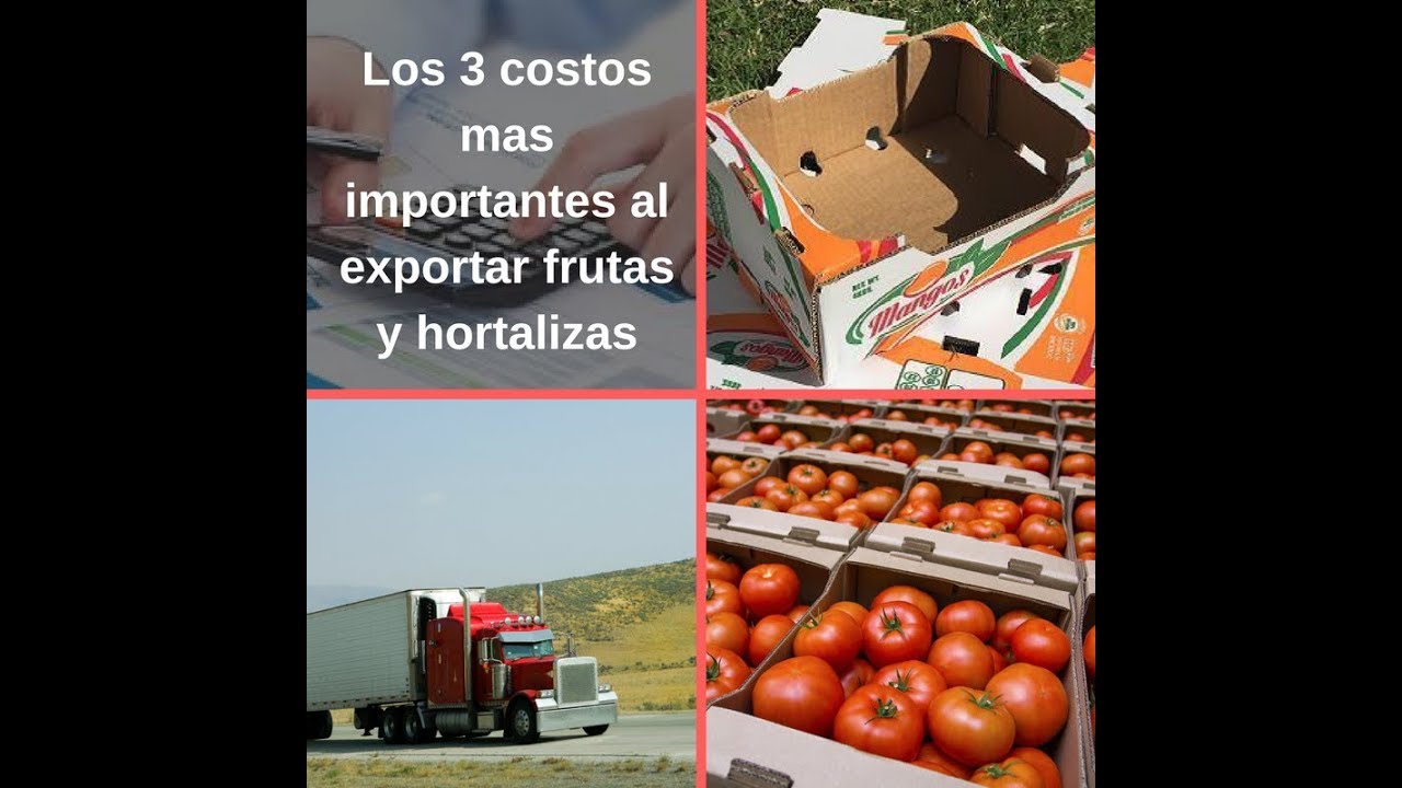 Los 3 costos mas importantes en la exportaci&oacute;n de frutas y verduras