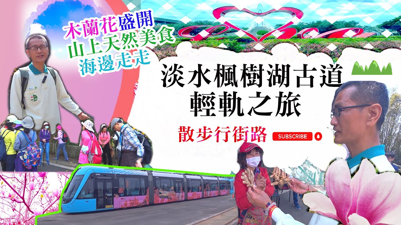 【淡水秘境】二月必看！淡水楓樹湖木蓮花季粉紅綻放🌸輕軌、古道、花海一日遊攻略！