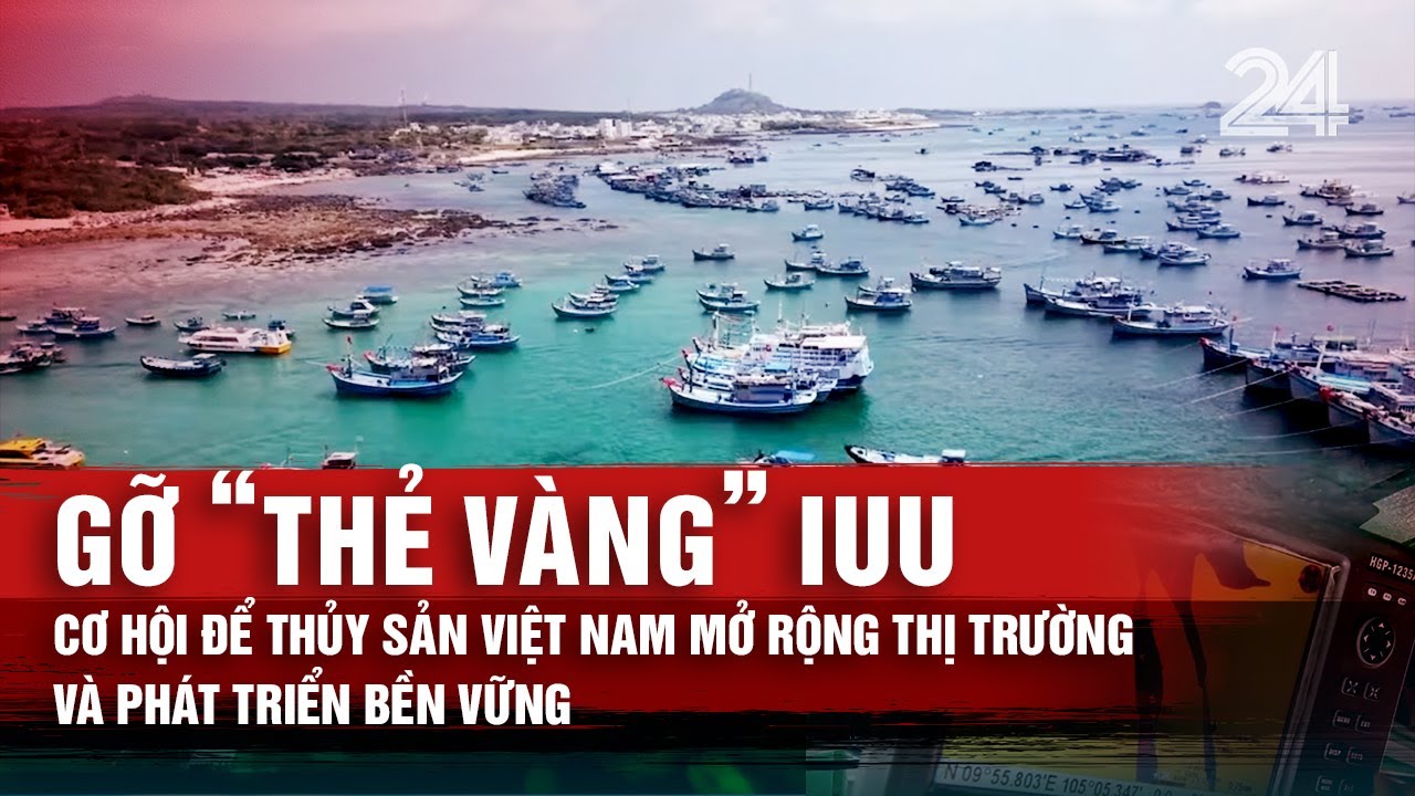 Gỡ &lsquo;thẻ v&agrave;ng&rsquo; IUU: Cơ hội để thủy sản Việt Nam mở rộng thị trường v&agrave; ph&aacute;t triển bền vững | VTV24
