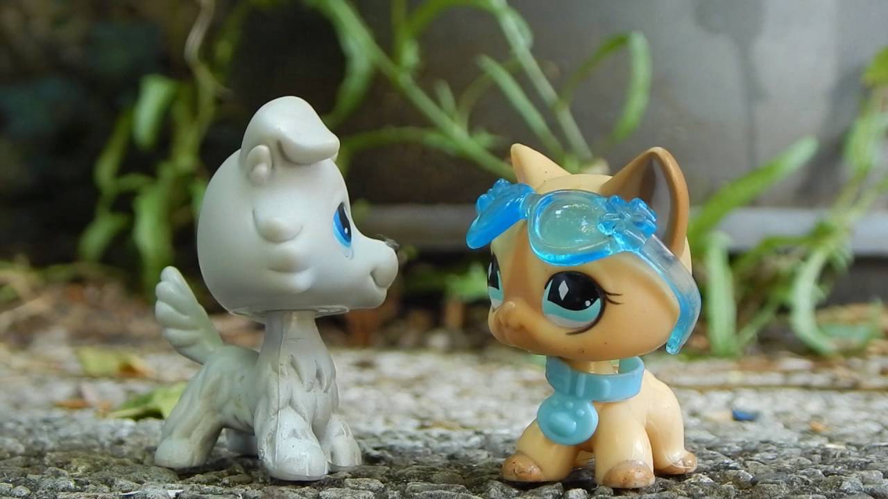 Littlest Petshop:[Court- Métrage] « La vie ne tient qu'à un fil.»
