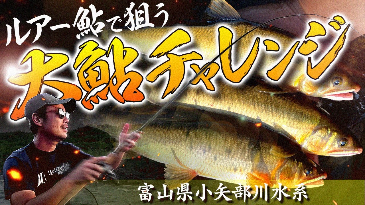 ルアー鮎で狙う大鮎チャレンジ