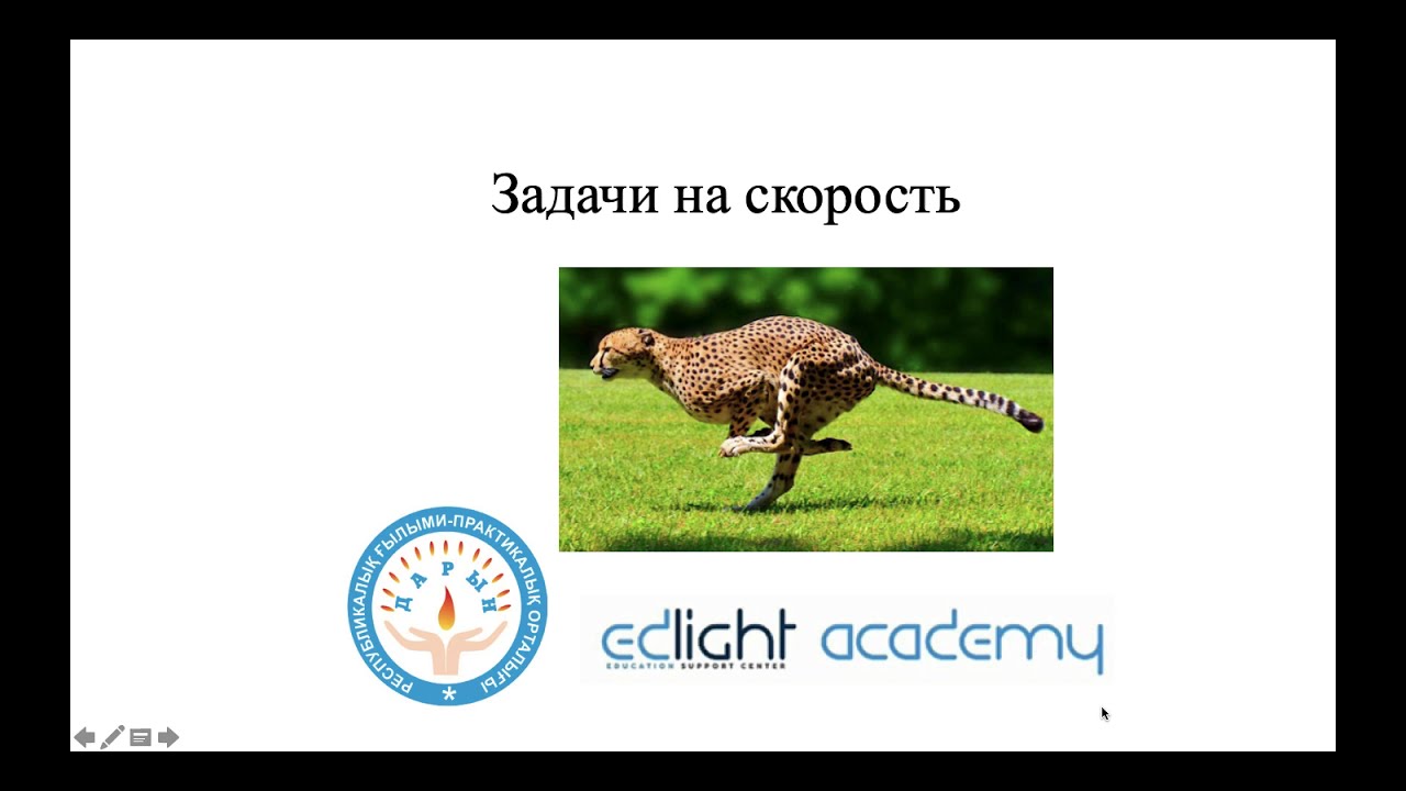 Задачи на скорость