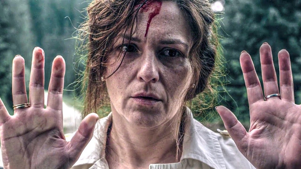 В ловушке за невидимой стеной &ndash; Стена (2012) Краткое содержание