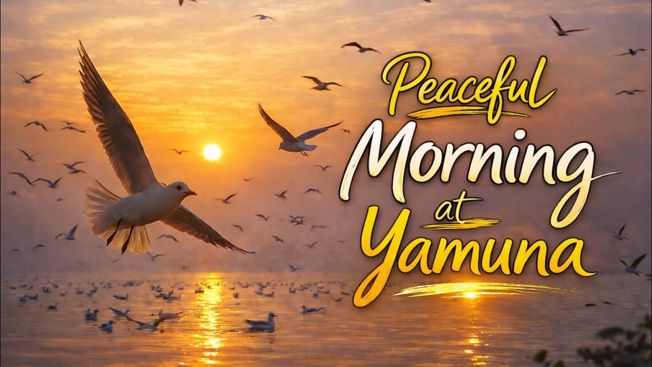Peaceful Morning at Yamuna Ghat,Delhi 🌄🕊️✨   | Sunrise, Birds & Calm River Sounds