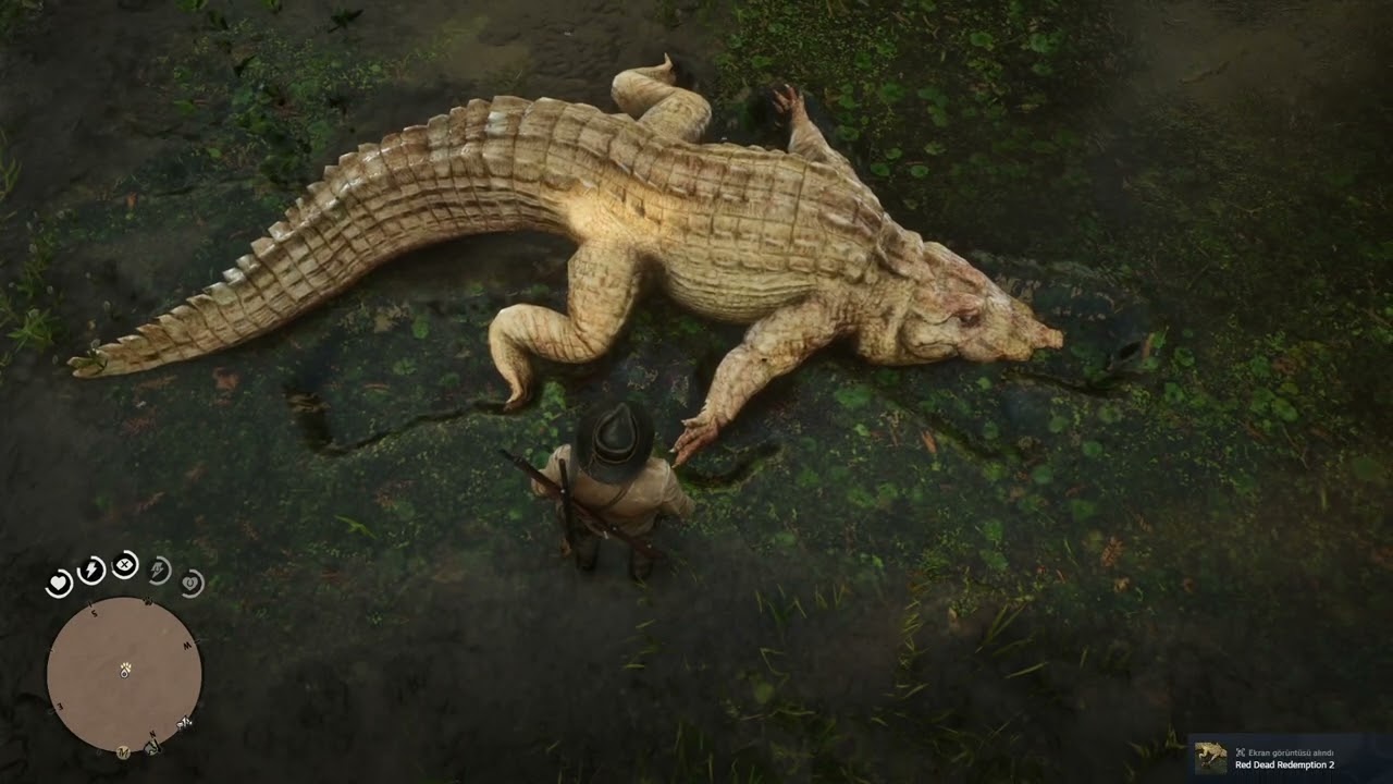 EFSANEVİ BOĞATİMSAHI NASIL AVLANIR(RED DEAD REDEMPTİON 2)